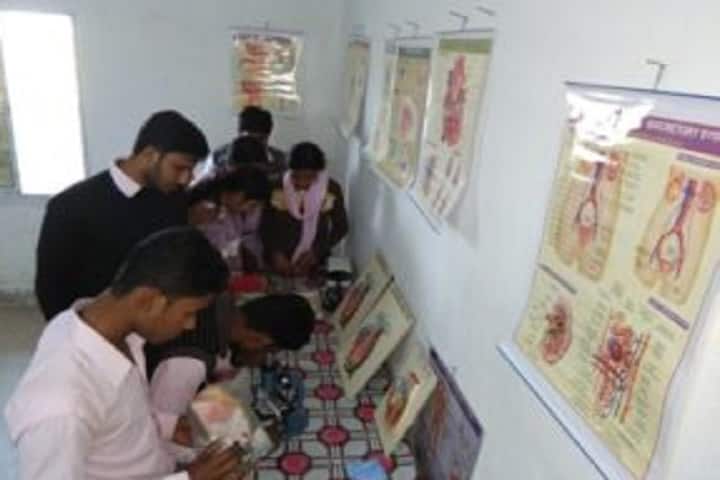 Kazi Nazrul Islam Teachers Training College, Murshidabad campus photo 2