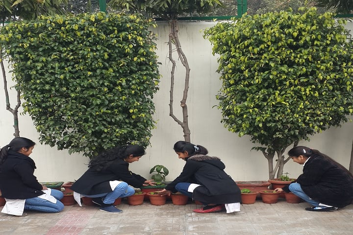 Rukmini Devi College of Education, Rohini, New Delhi campus photo 2