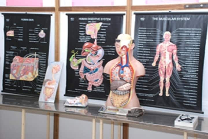 Koviloor Andavar College of Physical Education and Sports, Karaikudi campus photo 3