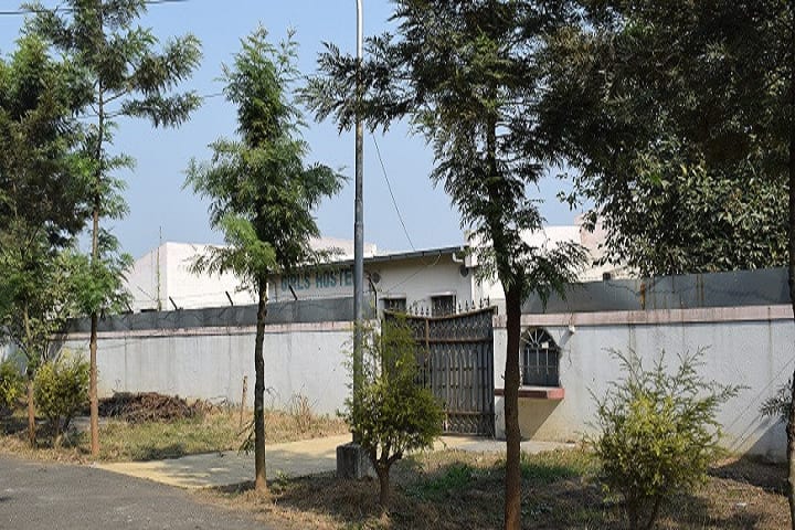 Aligarh Muslim University Centre, Murshidabad campus photo 6