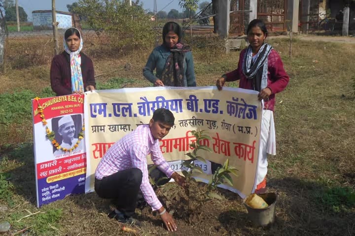 ML Chaurasia B Ed College, Rewa campus photo 6