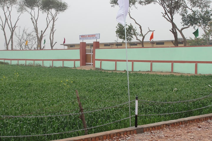 Shri Radhe PG College, Bharatpur campus photo 2