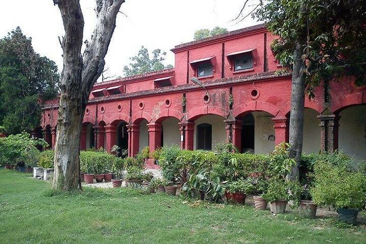 Government College of Education, Jalandhar campus photo 3
