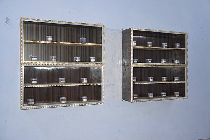 Major SDS College of Pharmacy, Farrukhabad campus photo 6