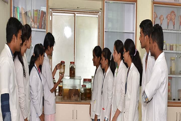 Lt Sunil Ramshingji Chunawale Ayurved College and Dr Hedgewar Rugnalaya, Chikhali campus photo 3