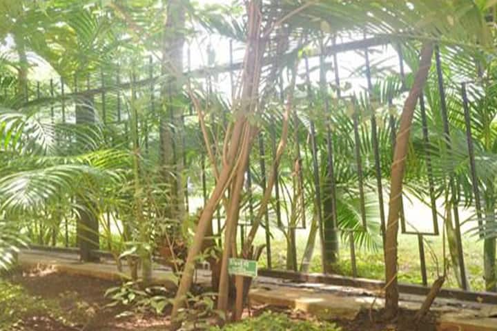 Principal KM Kundnani Pharmacy Polytechnic, Ulhasnagar campus photo 6