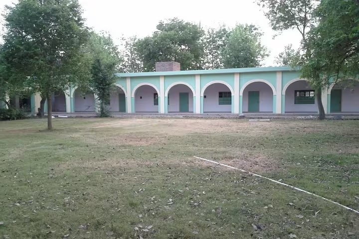 Sant Sukhchain Singh Institute of Education, Mansa campus photo 2