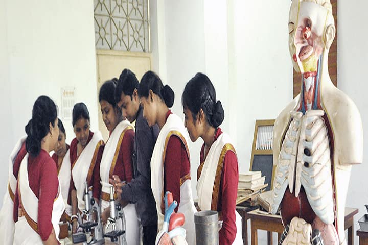 Vidyasagar Primary Teacher Training Institute, Haldia campus photo 2