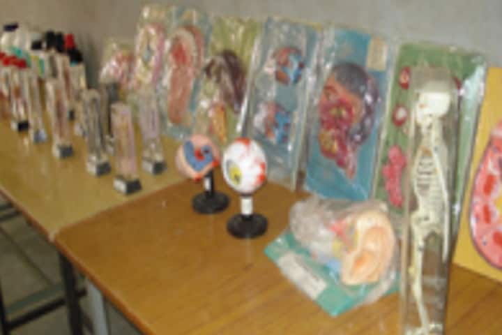 Thomas Cangan Memorial College of Education, Jodhpur campus photo 4