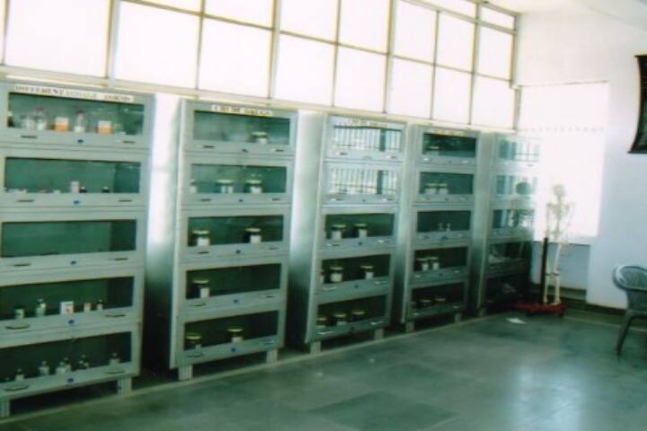 Shri Sanatan Dharam Institute of Pharmacy and Medical Technology, Jhajjar campus photo 5