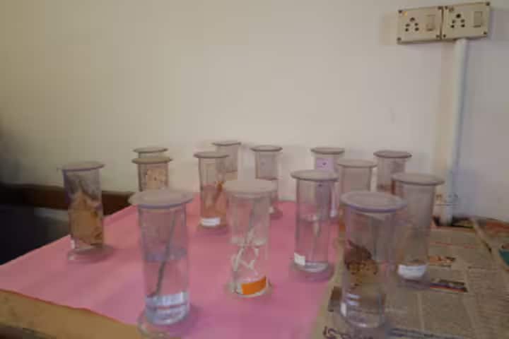 YPR College of Education, Medak campus photo 5
