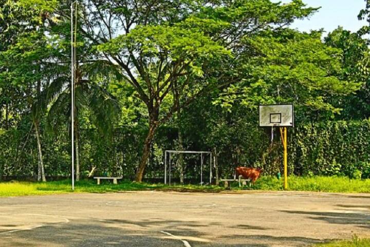 St John of God College of Special Education, Kottayam campus photo 6