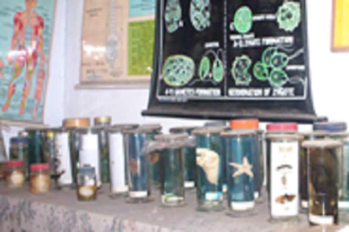 Sri Kalaimagal College of Education, Tirupattur campus photo 6