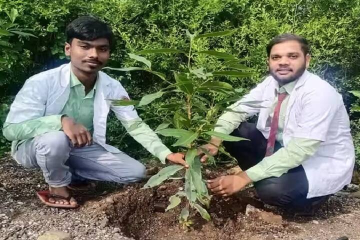 Thakur Shivkumarsingh Memorial Pharmacy College, Burhanpur campus photo 3