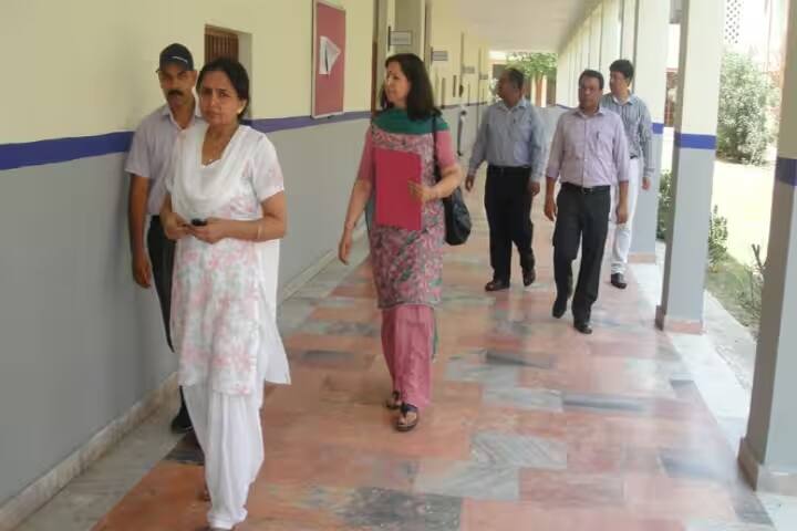 Sanskriti College of Education, Rohtak campus photo 2