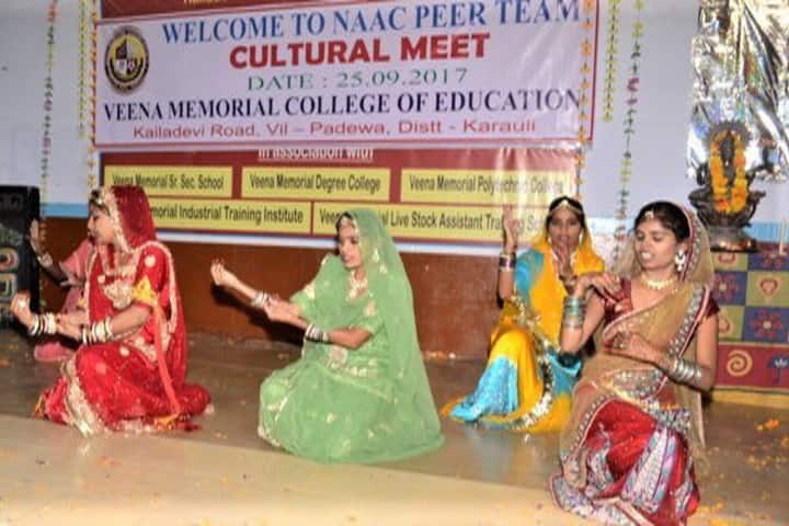 Veena Memorial College of Education, Karauli campus photo 2