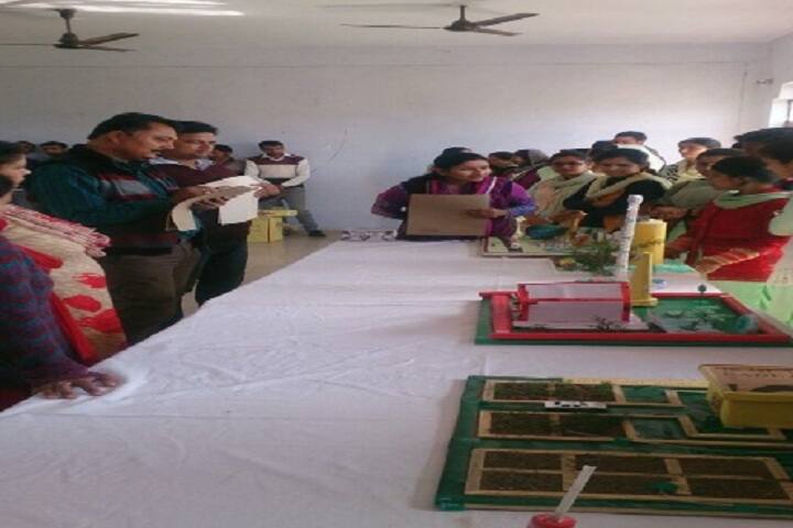 New Age College of Education, Kathua campus photo 4