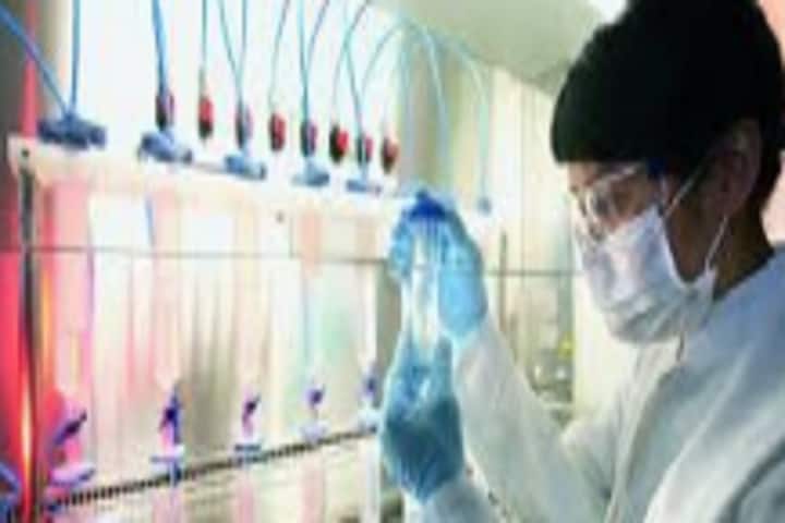 Shikshan Prasarak Mandals College of Pharmacy, Akluj campus photo 3