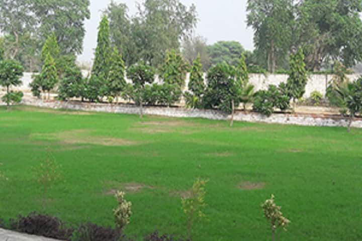 Rao Ranjeet Singh College of Education, Rewari campus photo 6