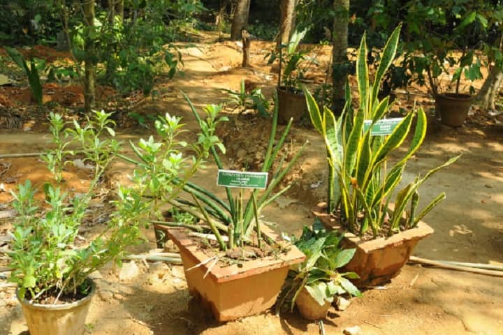 Santhigiri Siddha Medical College, Thiruvananthapuram campus photo 3