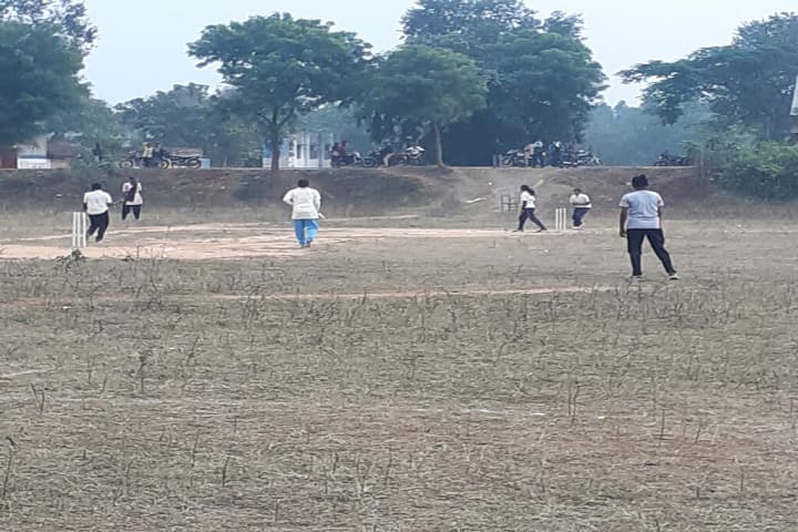 Government Sant Gahira Guru Rameshwar College, Lailunga campus photo 4