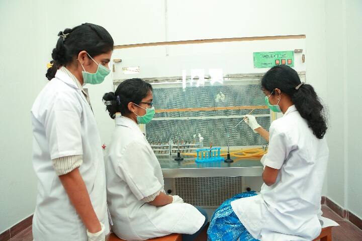 Nirmala College of Pharmacy, Ernakulam campus photo 6