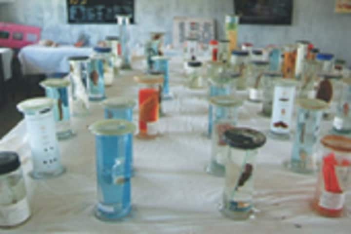 Shri Balaji College of Education for Women, Madurai campus photo 4