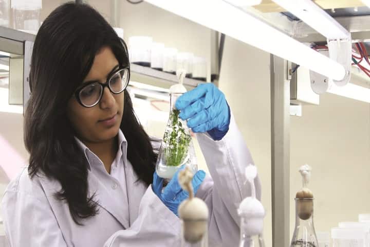 Shaheed Udham Singh College of Pharmacy, Tangori campus photo 5