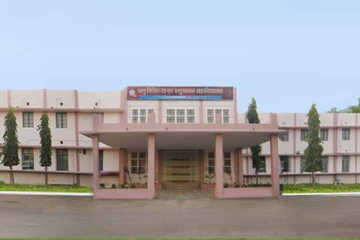 Dau Shri Vasudev Chandrakar Kamdhenu Vishwavidyalaya, Durg campus photo 6