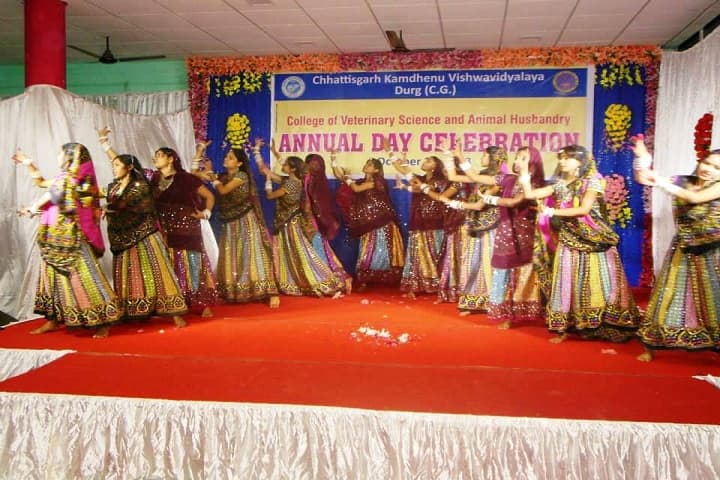 Dau Shri Vasudev Chandrakar Kamdhenu Vishwavidyalaya, Durg campus photo 4