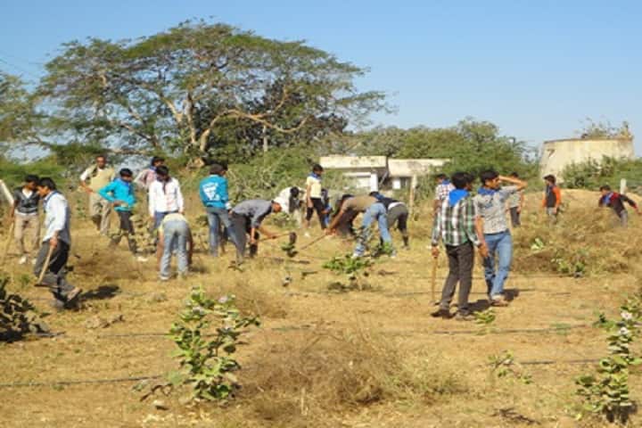 College of Agricultural Engineering and Technology, Junagadh campus photo 5
