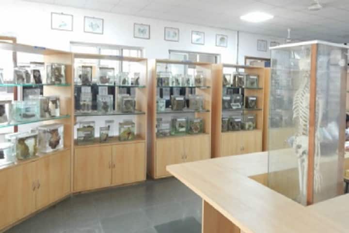MGM Institutes University Department of Prosthetics and Orthotics, Navi Mumbai campus photo 3