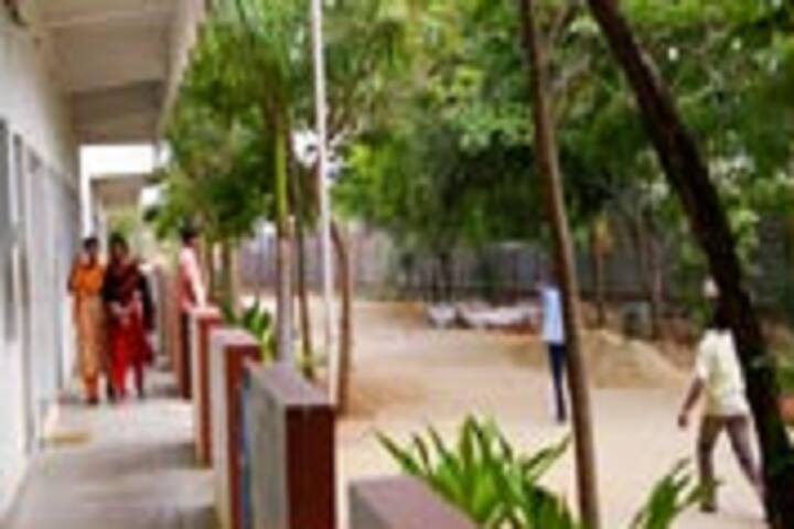 Peace College of Education, Dindigul campus photo 2
