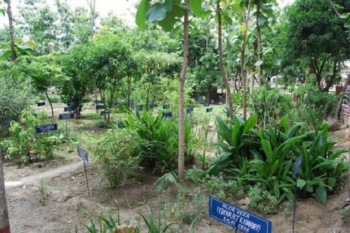 SD College of Pharmacy and Vocational Studies, Muzaffarnagar campus photo 6