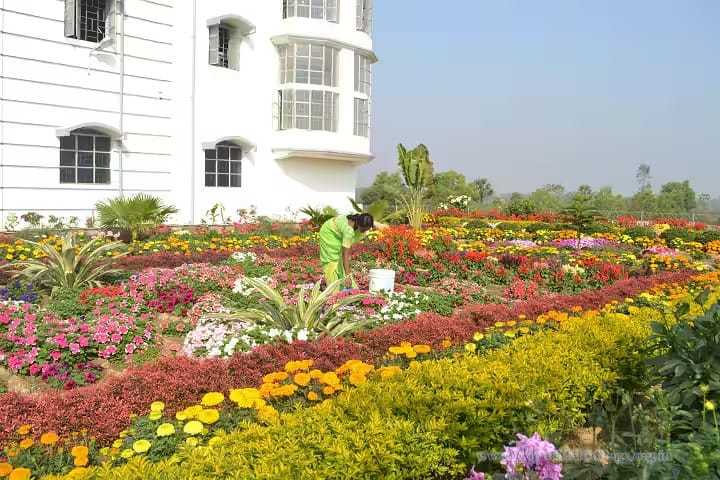 Raipur B Ed College, Bankura campus photo 3