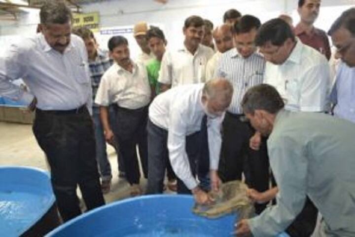 College of Fisheries, Dholi campus photo 6