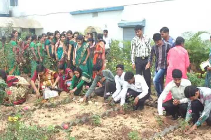 Mansa College of Education, Bhilai campus photo 2