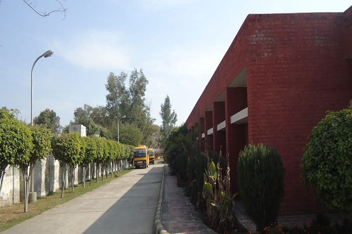State Institute for Rehabilitation Training and Research, Rohtak campus photo 3