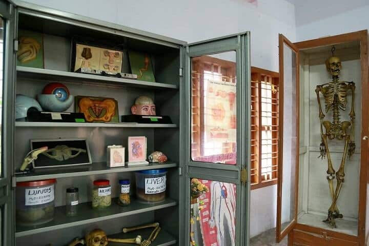 Little Lourdes College of Nursing, Kottayam campus photo 2