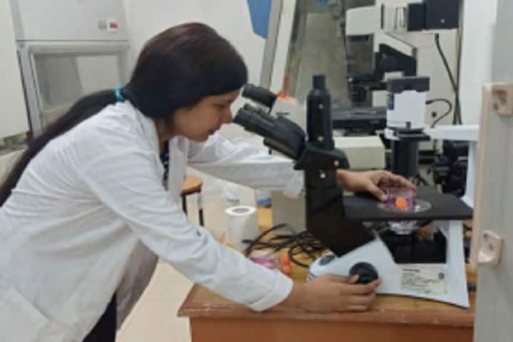 Dr Khem Singh Gill Akal College of Agriculture, Sirmour campus photo 2