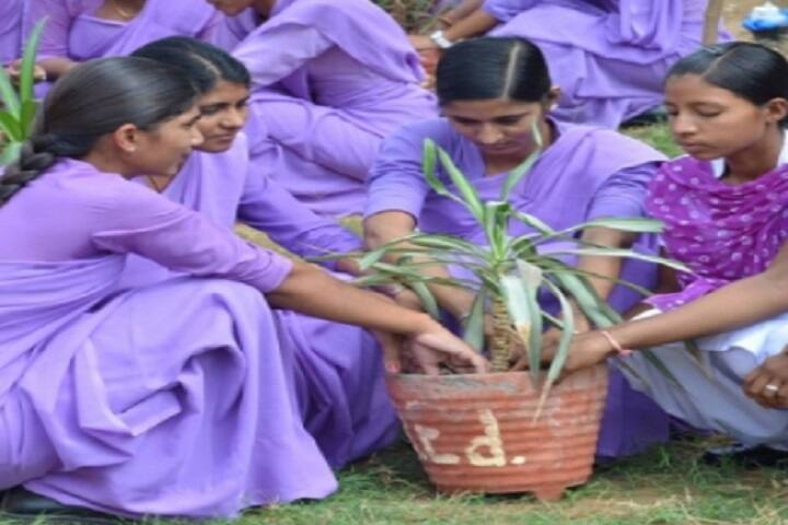 Sri Balaji Teachers Training College, Jaipur campus photo 5