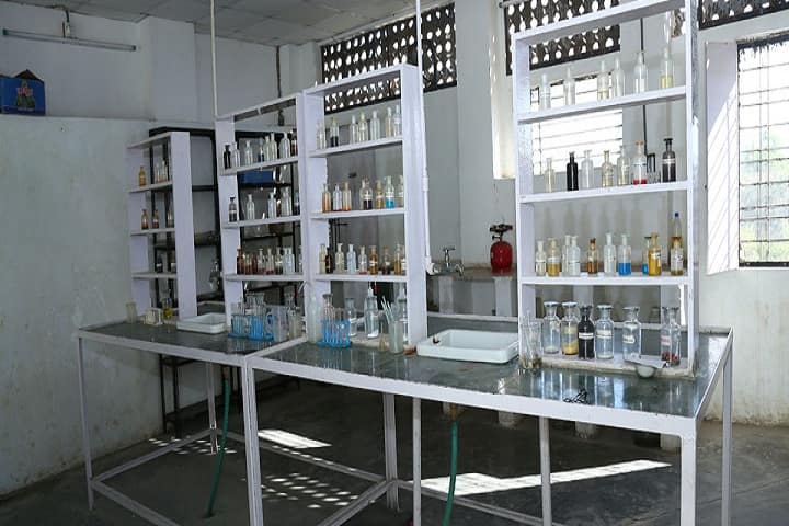 The Scholars Arena Girls B Ed College, Udaipur campus photo 3