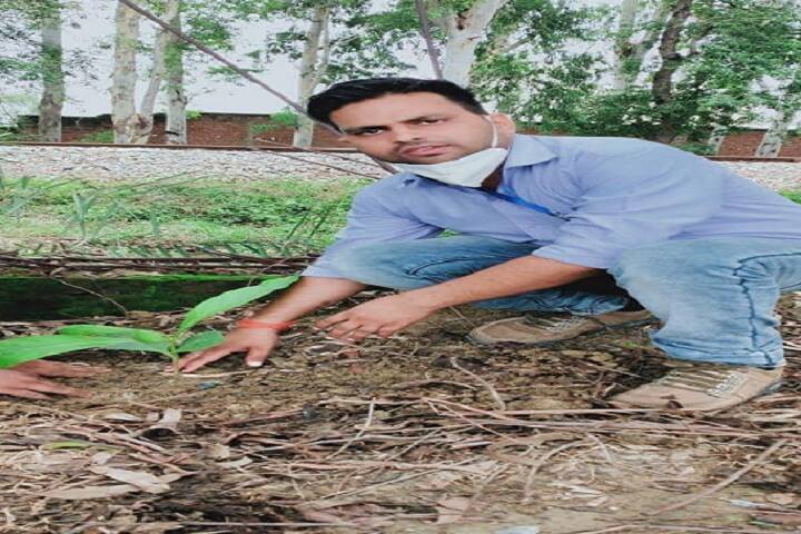 Sainath College of Pharmacy, Sonbhadra campus photo 4