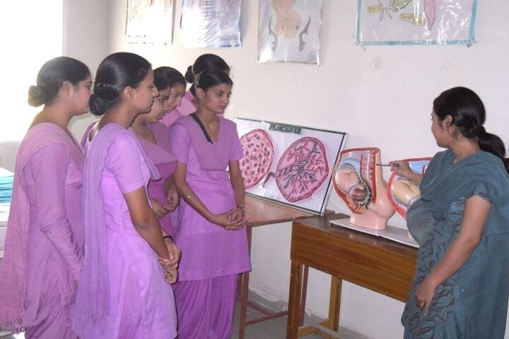 Life Guard Nursing Institute, Sangrur campus photo 3