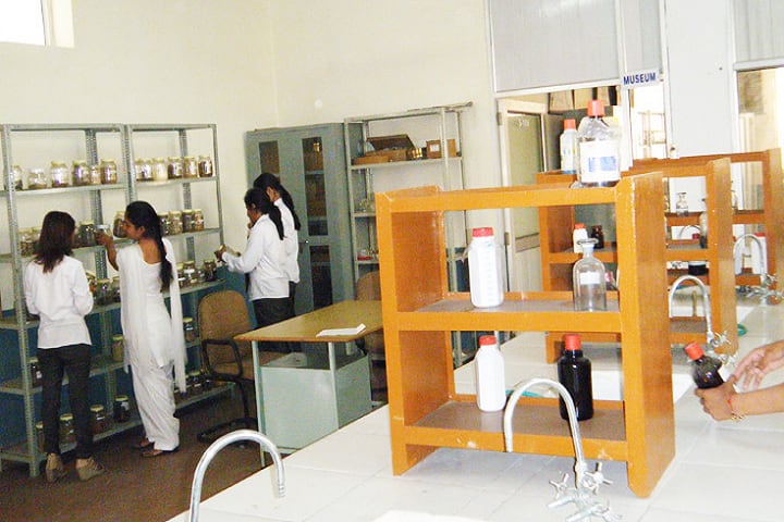 St Soldier Institute of Pharmacy, Jalandhar campus photo 5