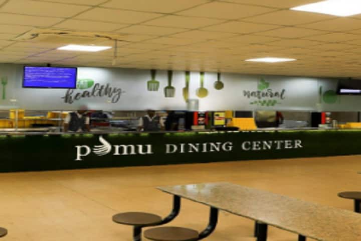 PDM University, Bahadurgarh campus photo 2