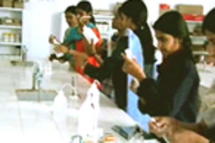 Ramadevi Mahila Teacher Training College, Jhunjhunu campus photo 5