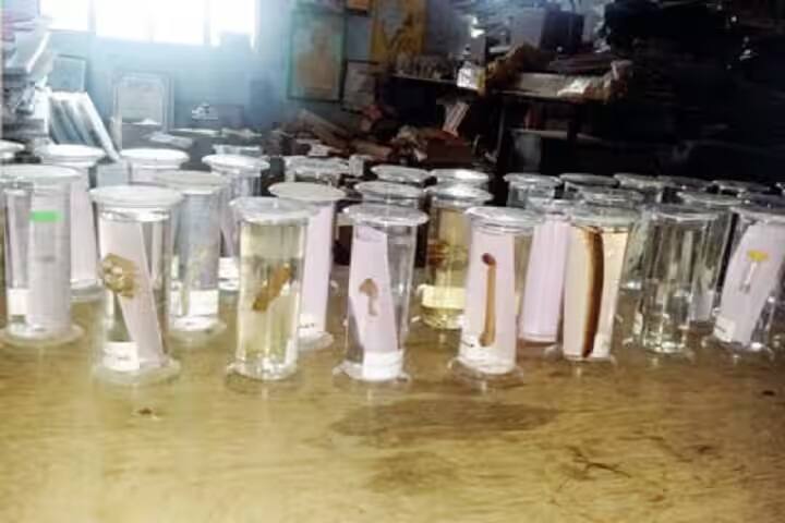 Maharshi Sandeepani Teacher's Training College, Kotputli campus photo 6