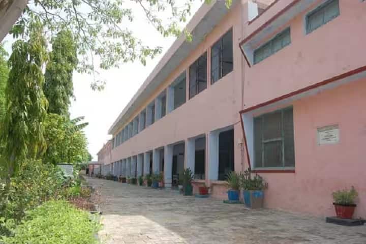 Gramotthan Vidyapeeth College of Education, Sangaria campus photo 2