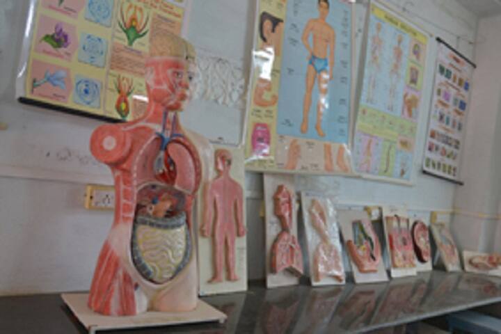 Vijaya College of Physical Education, Vijayawada campus photo 3